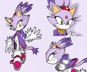 пазл Blaze Cat, принцессы и один из друзей Sonic